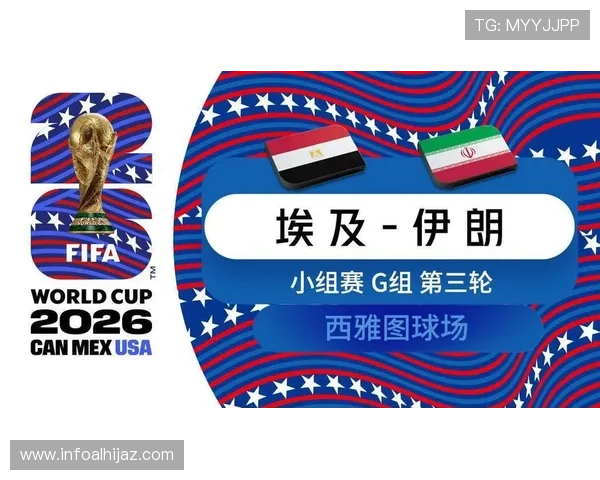世界杯挪威法国比赛胜平负规则分析，提供专业解读助您做出科学投注决策